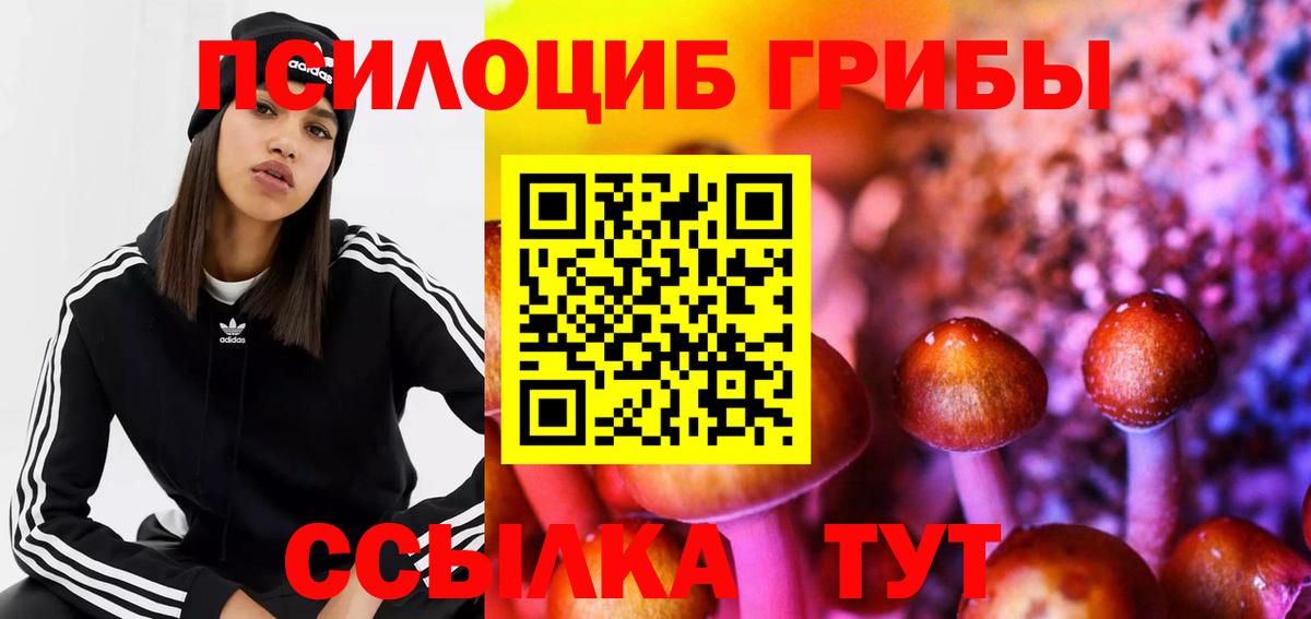 Качканар  Псилоцибиновые грибы Cubensis  Вход с VPN 
